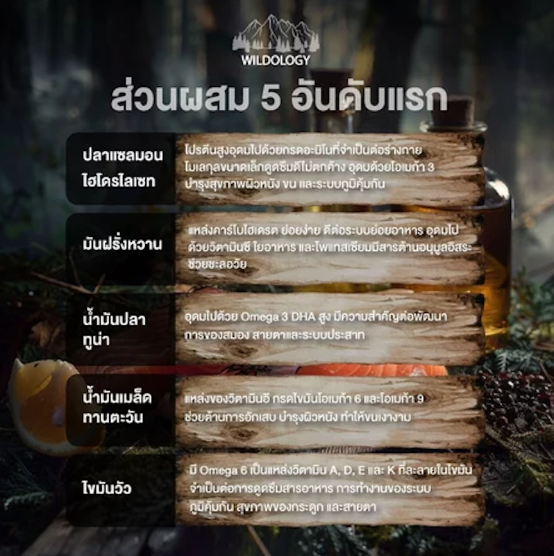 โฮลิสติกเกรนฟรี สำหรับสุนัขสูงวัย 3