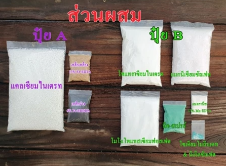 ปุ๋ย AB แบบแห้ง 2