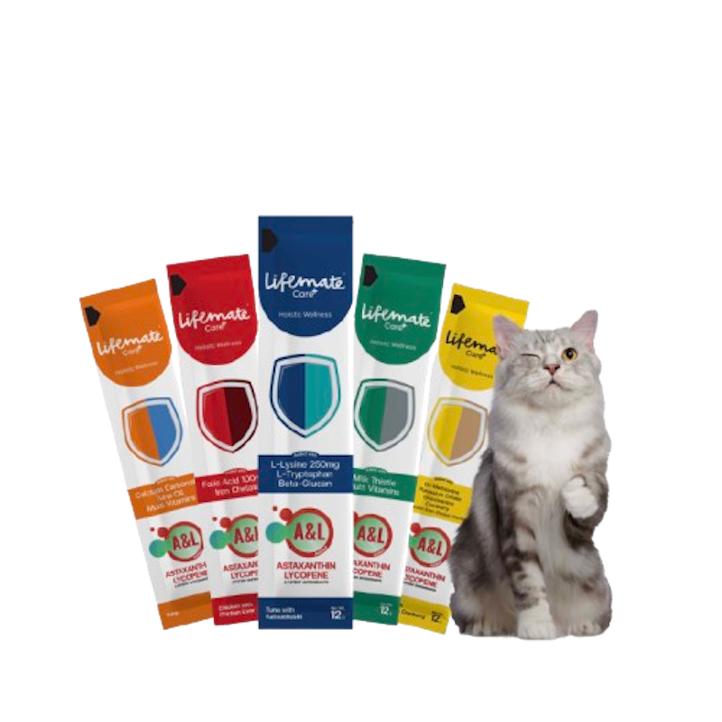 Care+ Cat Treat 1