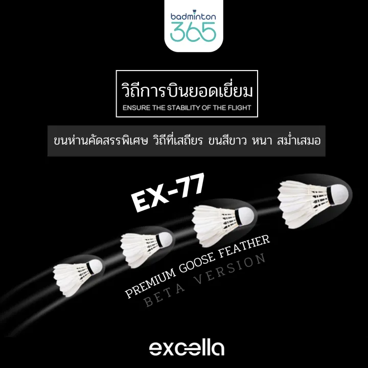 ลูกแบดมินตัน Ex - 77 2