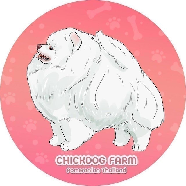 ฟาร์มสุนัข  Chick Dog Farm 1