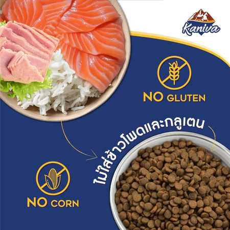 Salmon Tuna & Rice 3