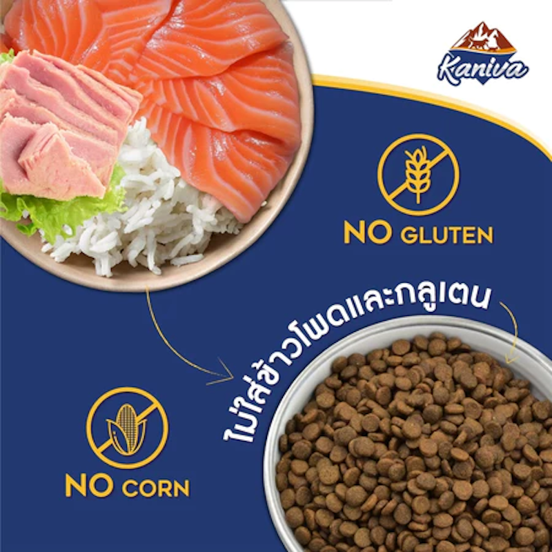 Salmon Tuna & Rice 3