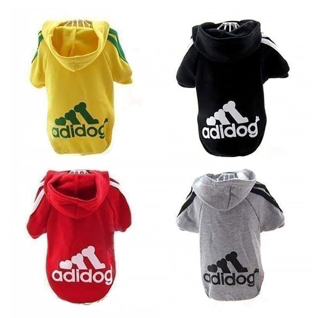 10 เสื้อผ้าสุนัข แบบไหนดี ปี 2026 มีทั้งสำหรับน้องหมาพันธุ์เล็กและพันธุ์ใหญ่ 2