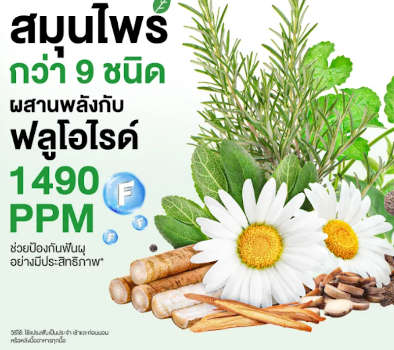 ยาสีฟันสมุนไพร 9x Herbal Plus Fluoride Toothpaste 2