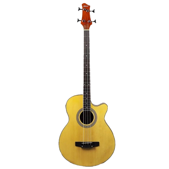 B10 Acoustic Bass 4 Strings  1