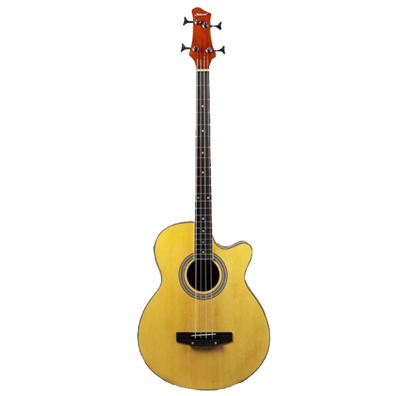 B10 Acoustic Bass 4 Strings 1