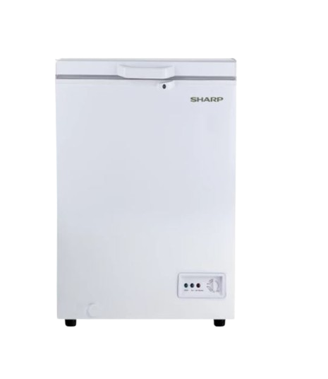 Chest Freezer ตู้แช่แข็ง 1
