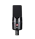 sE Electronics Condenser Microphone 1