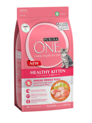 Healthy Kitten Chicken 2