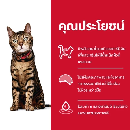 Light Adult 3