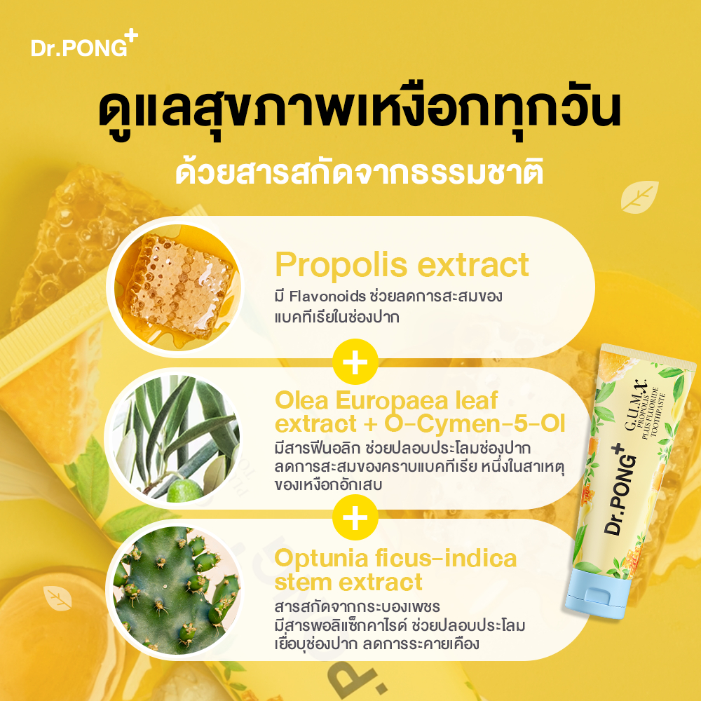 ยาสีฟันสมุนไพร 4 สูตร G.U.M.X. Propolis Plus Fluoride   4