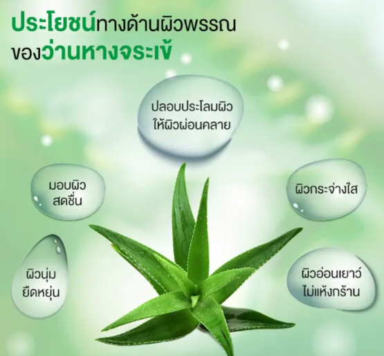 เจลว่านหางจระเข้ ALOEGEL 2