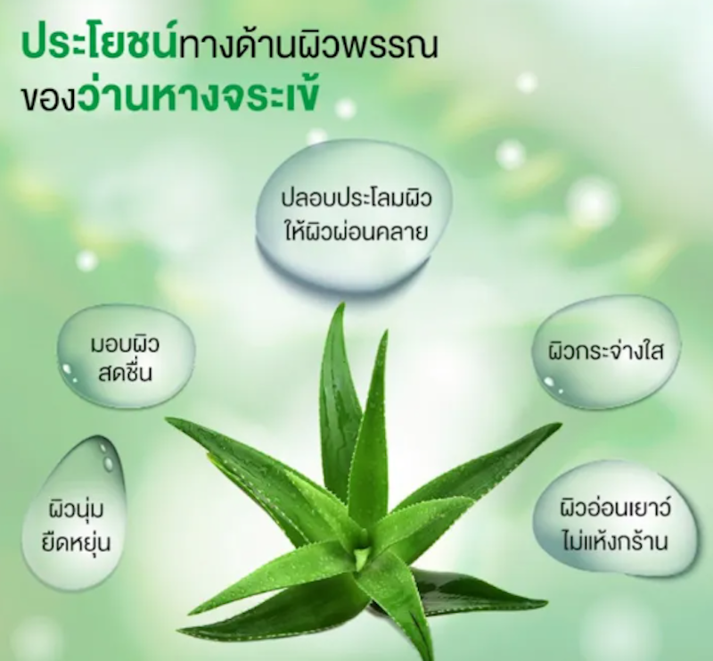 เจลว่านหางจระเข้ ALOEGEL 2