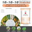 10 ปุ๋ย 16-16-16 ยี่ห้อไหนดี ปี 2026 บำรุงต้น ใบ ดอก และผล | mybest