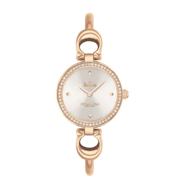 นาฬิกา Coach สำหรับผู้หญิง รุ่น Park  1