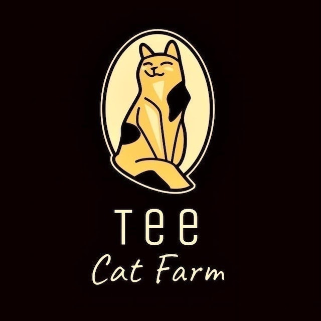 ฟาร์มแมว แมวสก็อตติช บริติช by Tee CatFarm 1