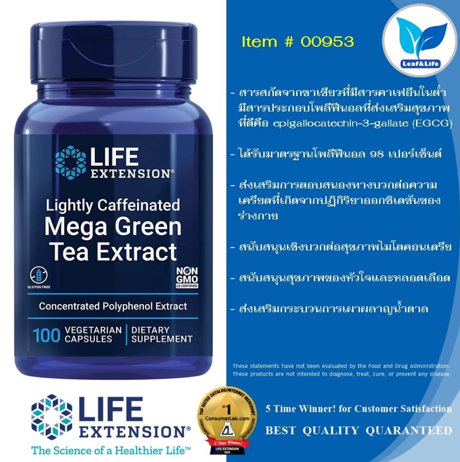 Lightly Caffeinated Mega Green Tea Extract 3