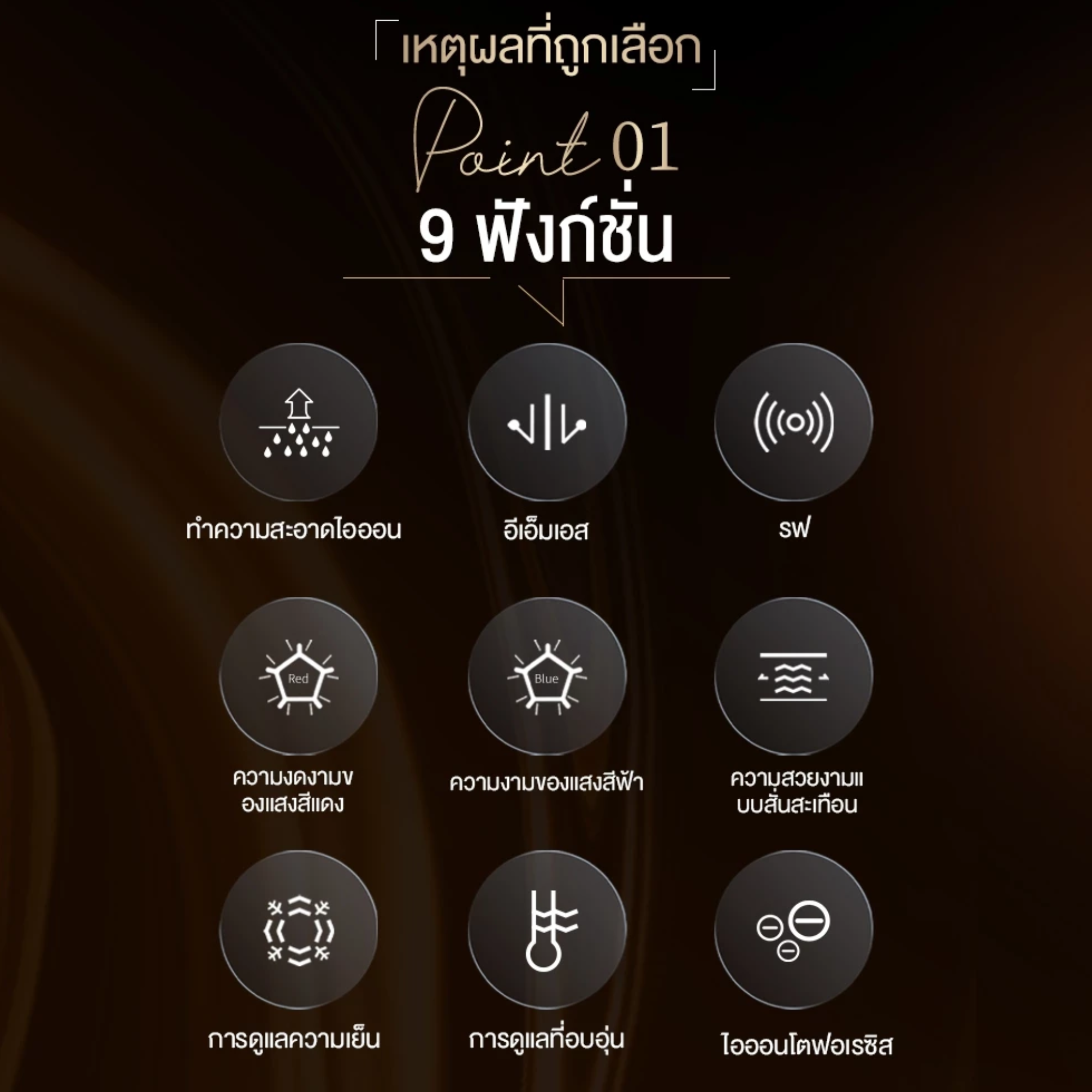 เครื่องนวดหน้าไฟฟ้า 2