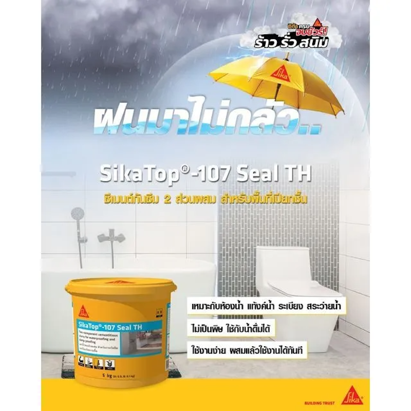 ซีเมนต์กันซึม Top Seal 2
