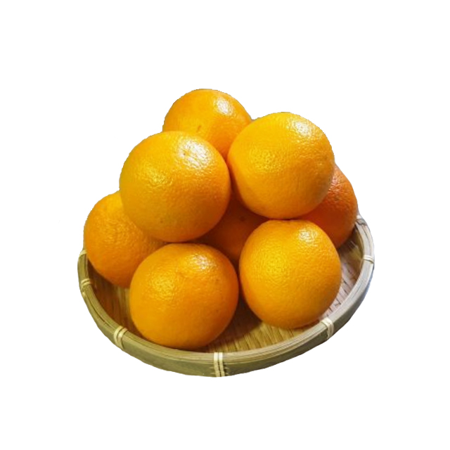 ของไหว้เช็งเม้ง ส้มซันคิสต์ 1