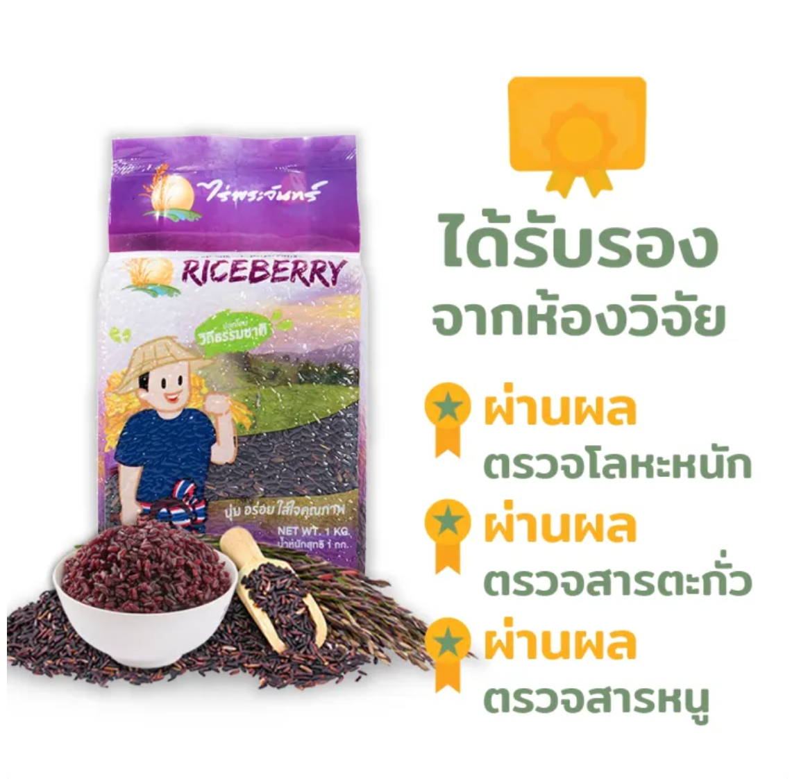 ข้าวไรซ์เบอร์รี่ 2