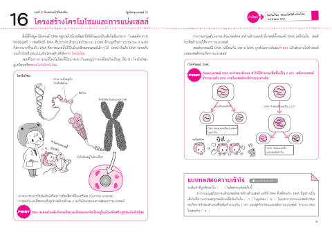 หนังสือ One by One แบบฝึกชีววิทยา ม.ปลาย 2