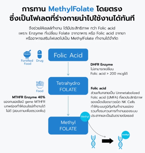 Methyl Folate 3