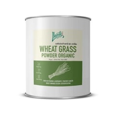 ผงต้นอ่อนข้าวสาลี Organic Wheat Grass Powder