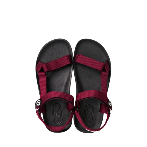 Men EVA Bird Logo Sling Back 3