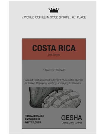เมล็ดกาแฟ Geisha คั่วอ่อน 1