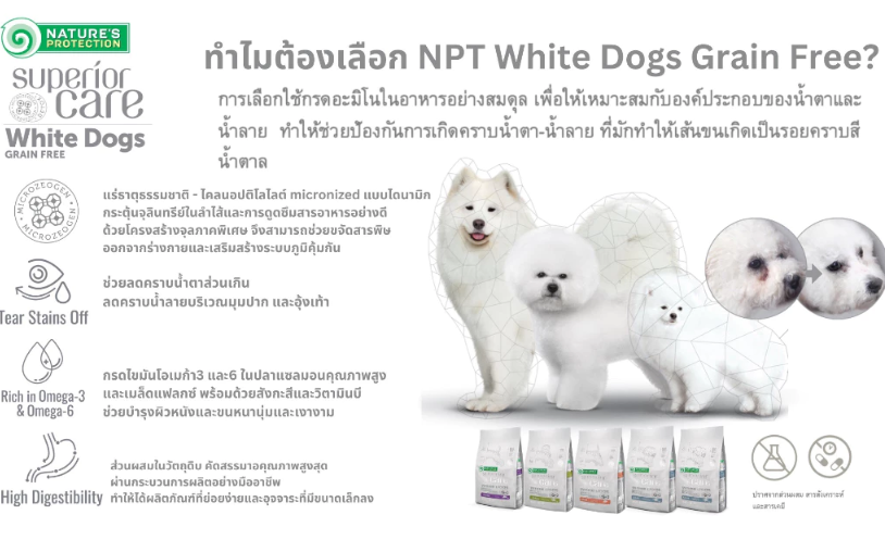 อาหารสุนัขเกรนฟรี สำหรับสุนัขขนขาว 3