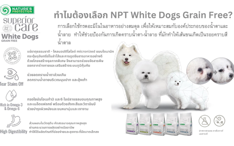 อาหารสุนัขเกรนฟรี สำหรับสุนัขขนขาว 3