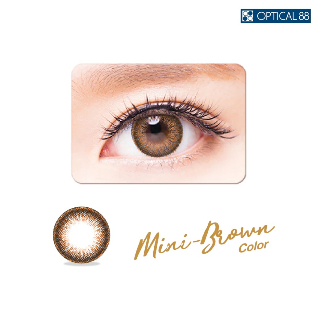 Mini Colors (2P) สี Brown 2