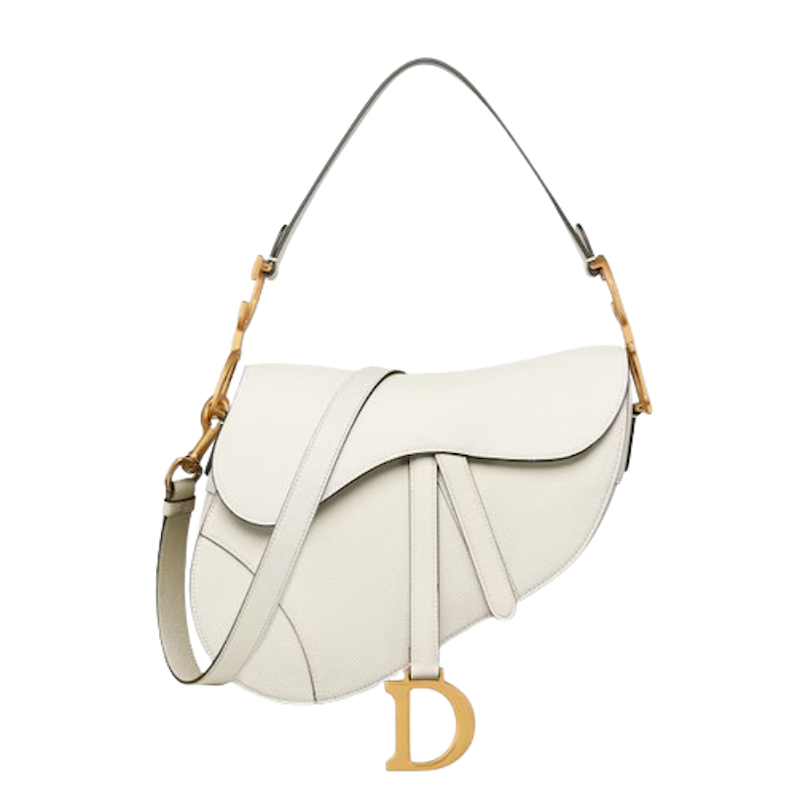 Dior Saddle 3