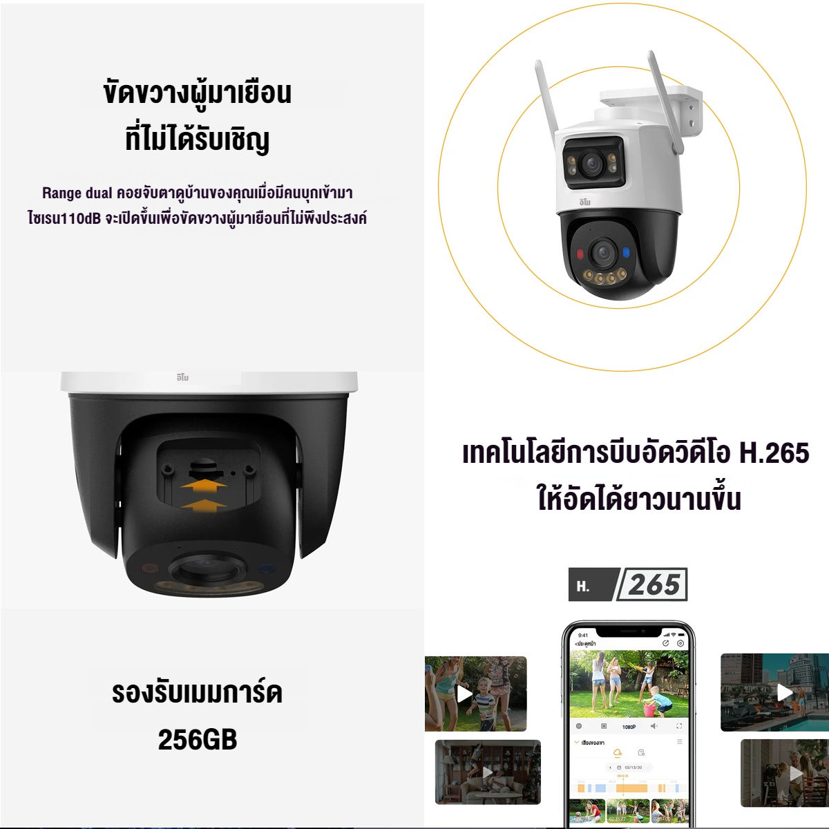 Cruiser Dual 3