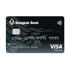 Visa Platinum Credit Card