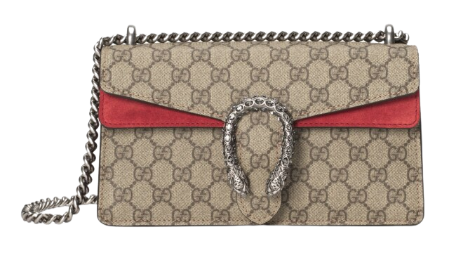 กระเป๋า รุ่น Dionysus GG Small Shoulder Bag 3
