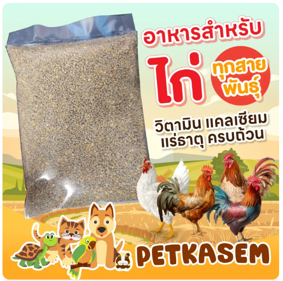 อาหารไก่ไข่ 2