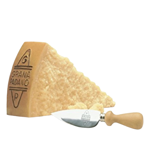 Cheese Parmesan Cheese Grana Padano 16 Month 4