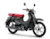 HONDA มอเตอร์ไซค์ครอบครัว รุ่น C125 1