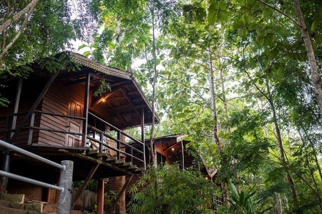 ที่พักดอยอินทนนท์ Hot Coffee Guest House and Resort 1