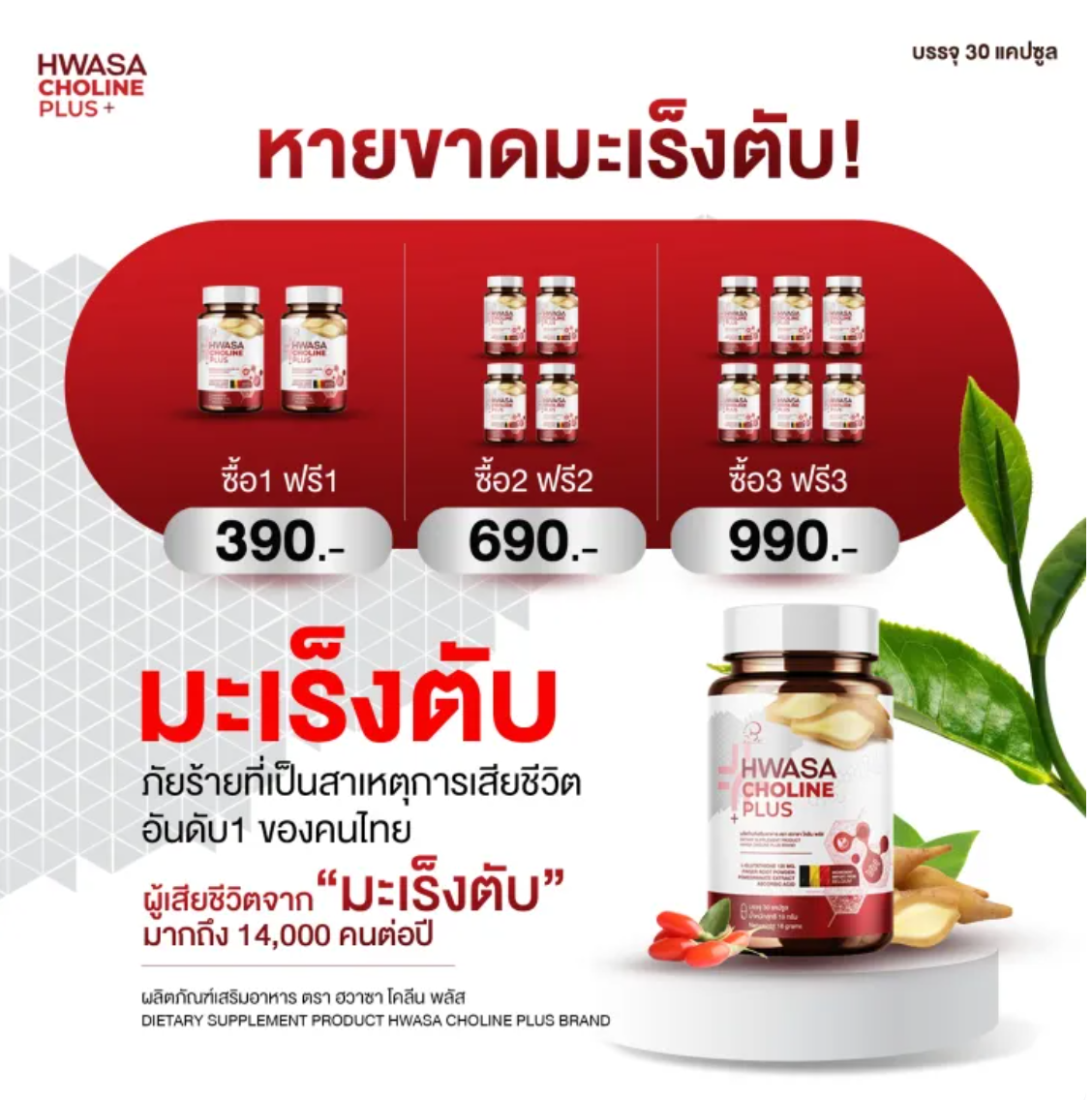 Choline Plus คอลลาเจนสำหรับบำรุงตับ 3