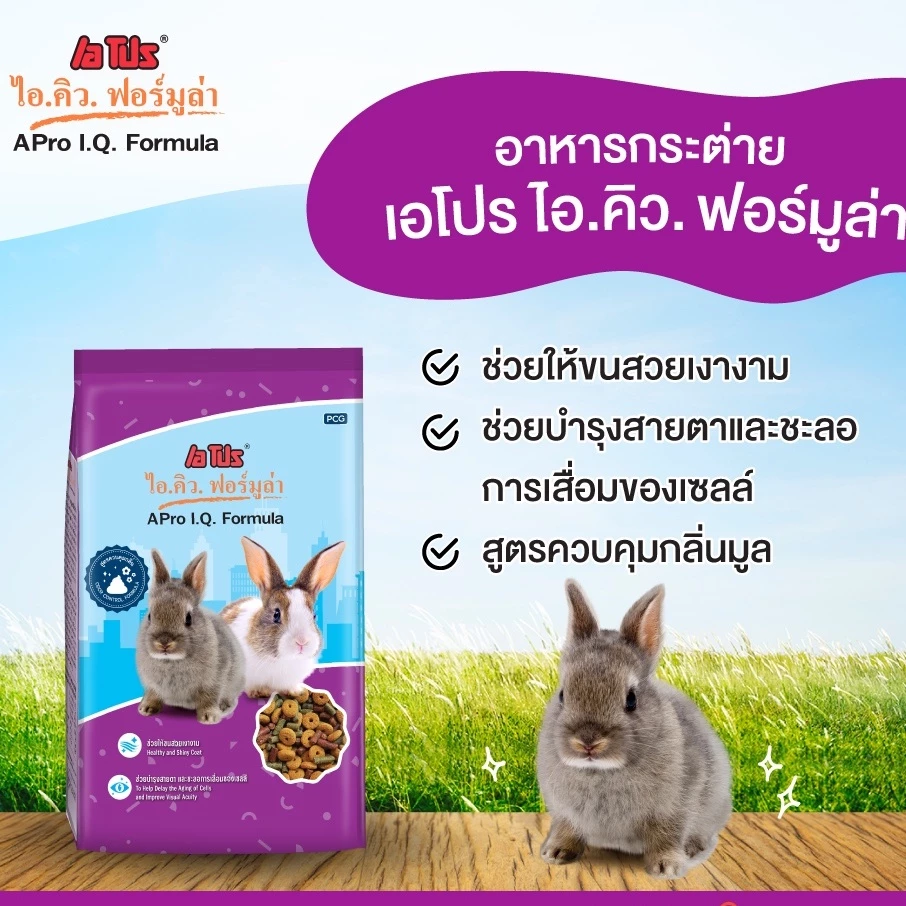 I.Q. Formula สูตรควบคุมกลิ่น 2
