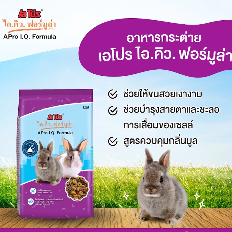 I.Q. Formula สูตรควบคุมกลิ่น 2
