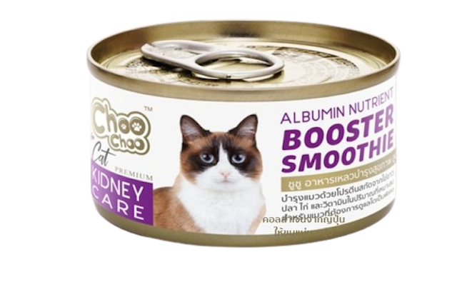 Booster Smoothie Kidney Care  1