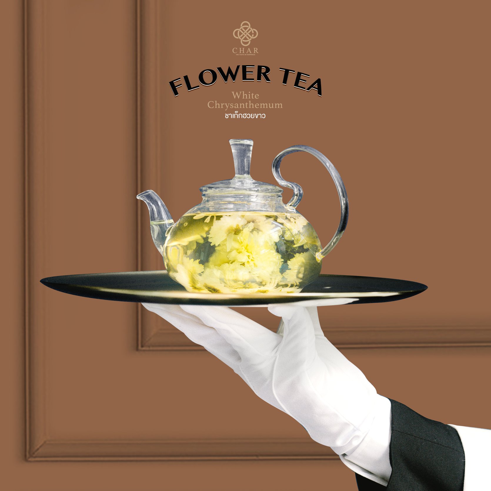 White Chrysanthemum Tea 2