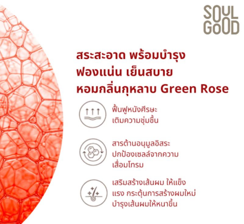 AstaCollagen Anti Hair Loss Aging Scalp Shampoo แชมพูคอลลาเจน 2