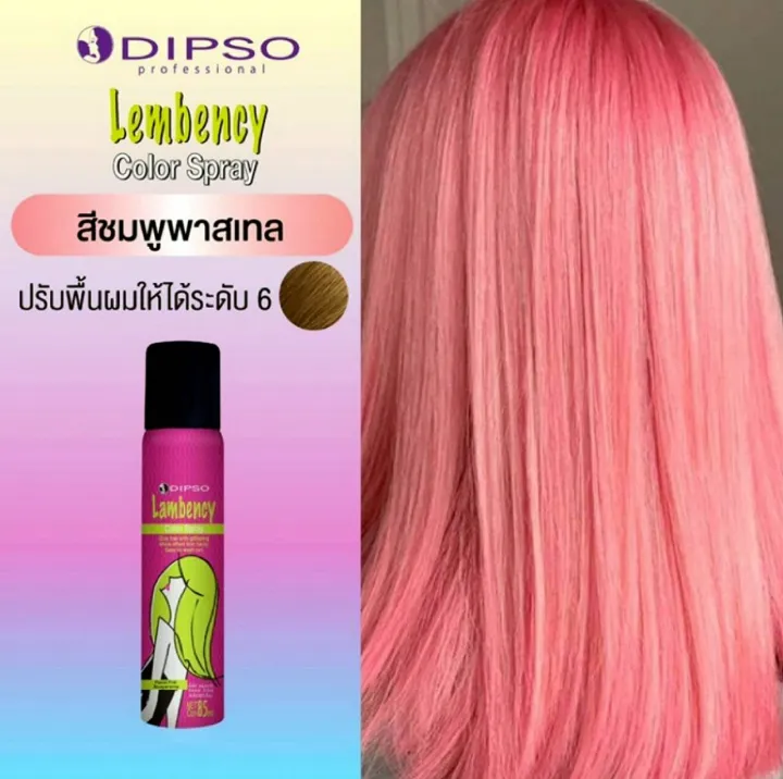 สเปรย์เปลี่ยนสีผม Lembency Color Spray Net 3