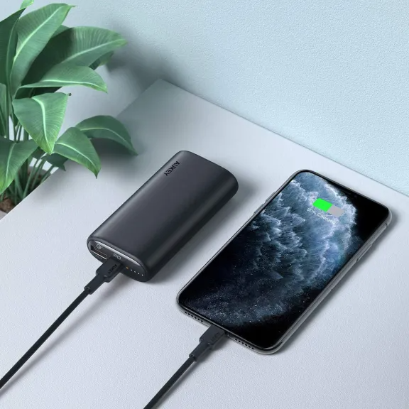 Powerbank PB-Y36 2